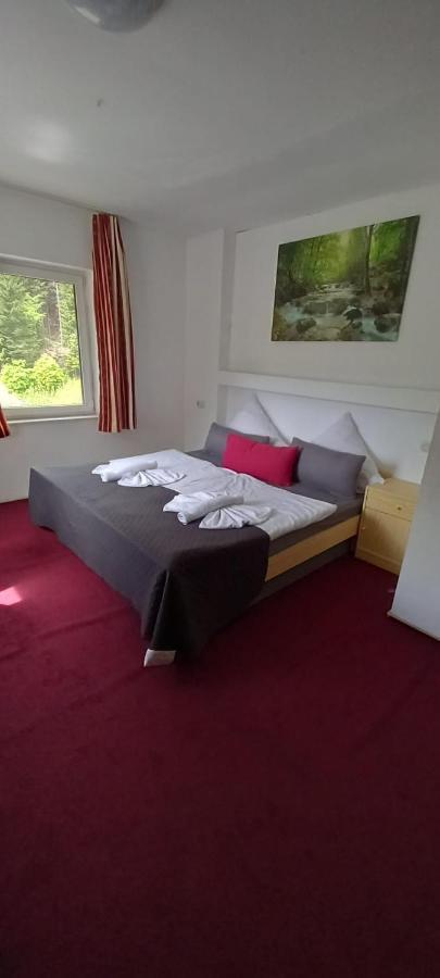 Waldpension Pfeiferhaus Варменщайнах Екстериор снимка
