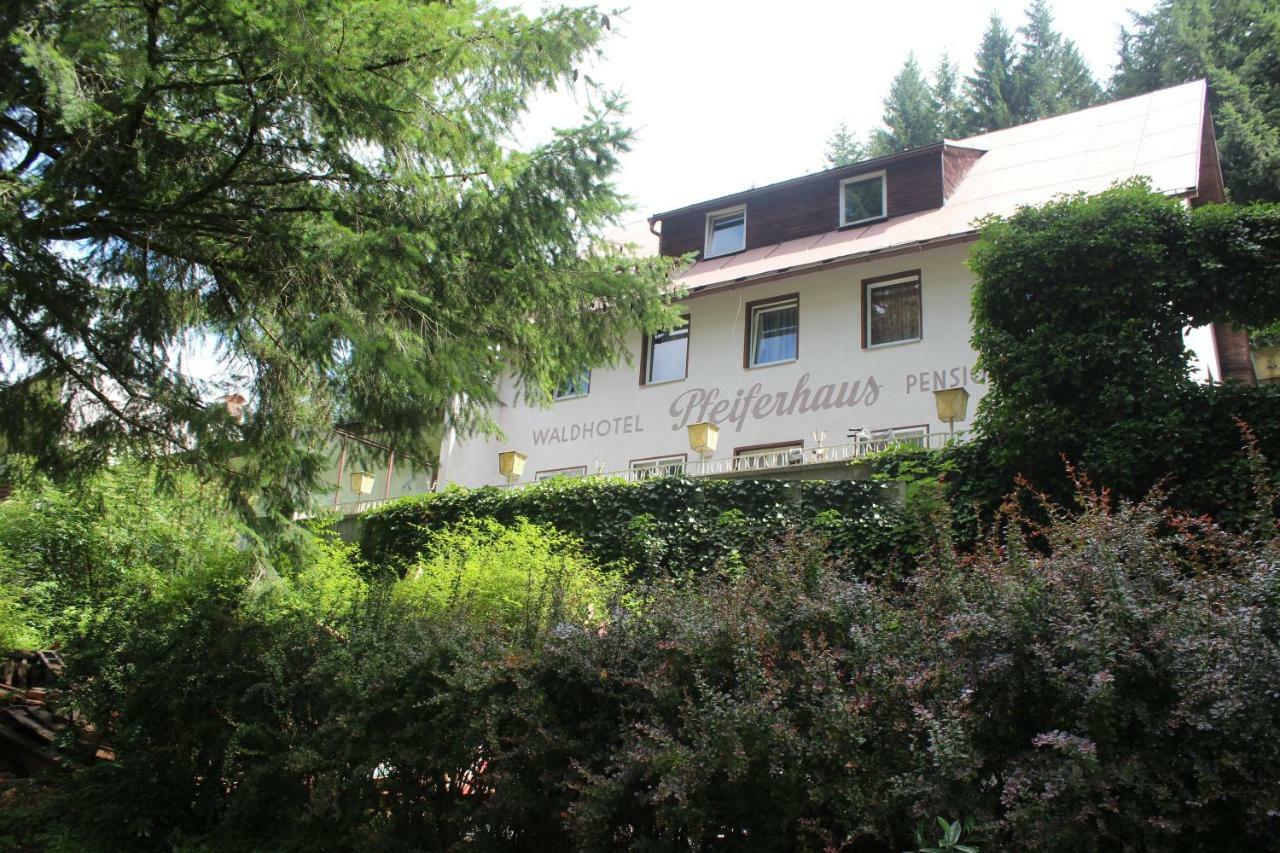 Waldpension Pfeiferhaus Варменщайнах Екстериор снимка